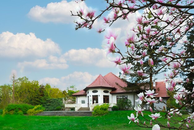 DLF The Magnolias